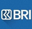 Public speaking training vibra alpha logo bri.